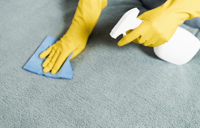cleaning carpet cloth